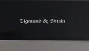 Духовой шкаф Zigmund Shtain EN 142.921 S фото 4 в Тюмени