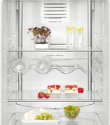 Холодильник AEG RCB63726OW фото 3 в Тюмени