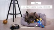 Стиральная машина Electrolux EW9F1R61B фото 4 в Тюмени