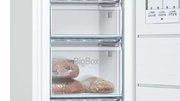 Морозильник Bosch GSV29VW20R фото 2 в Тюмени