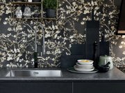 Мойка Franke BXX 210-68 сталь фото 2 в Тюмени