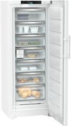Морозильник Liebherr FNc 727i Peak фото 3 в Тюмени