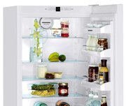 Холодильник Liebherr C 4023 фото 4 в Тюмени