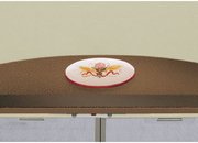 Вытяжка Falmec Ginevra Tile 90 (600) S фото 3 в Тюмени