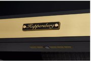 Вытяжка Kuppersberg T 669 ANT Bronze фото 3 в Тюмени