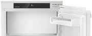 Встраиваемый холодильник Liebherr IRe 4021 Plus фото 3 в Тюмени