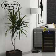Винный шкаф Cold Vine C18-TBF1 фото 3 в Тюмени