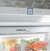 Холодильник Liebherr ICUNS 3023 фото 3 в Тюмени