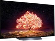 Телевизор LG OLED55B1RLA фото 2 в Тюмени