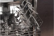 Встраиваемая посудомоечная машина Gaggenau DF481100 фото 4 в Тюмени