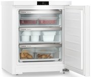 Морозильник Liebherr Fe 1003 фото 2 в Тюмени