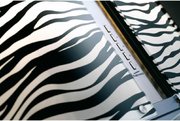 Вытяжка Falmec Mirabilia 67 Zebra Vetro (800) ECP фото 2 в Тюмени