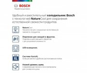 Холодильник с нижней морозильной камерой BOSCH KGE39AL33R фото 2 в Тюмени