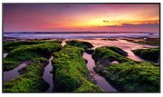 Панель Samsung LH75QBBEBGCXCI фото в Тюмени