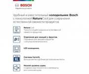 Холодильник с нижней морозильной камерой BOSCH KGE39XL22R фото 2 в Тюмени