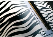 Вытяжка Falmec Mirabilia Isola 67 Zebra Vetro (800) ECP фото 2 в Тюмени