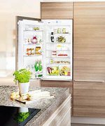 Встраиваемый холодильник Liebherr IK 1950 Premium фото 2 в Тюмени