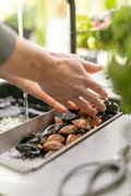 Коландер для кухонной мойки Франке 112.0066.060 фото 4 в Тюмени Коландер для кухонной мойки Franke 112.0066.060 фото 4 в Тюмени