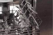 Встраиваемая посудомоечная машина Gaggenau DF480100F фото 4 в Тюмени