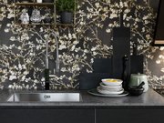 Мойка Franke BXX 210/110-68 полированная нержавеющая сталь фото 2 в Тюмени