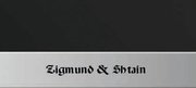 Духовой шкаф Zigmund Shtain EN 59.511 B фото 3 в Тюмени