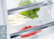 Холодильник Siemens KG 49NSW21R фото 3 в Тюмени