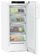 Холодильник Liebherr RBa 4250 фото 2 в Тюмени