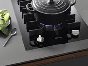 Элемент панели SmartLine Miele CS7102-1 FL фото 4 в Тюмени