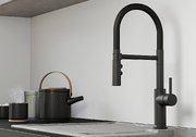 Смеситель Бланко CATRIS-S Flexo 525793 Silgranit матовый черный фото 2 в Тюмени Смеситель Blanco CATRIS-S Flexo 525793 Silgranit матовый черный фото 2 в Тюмени