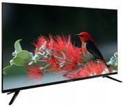 Телевизор Schaub Lorenz SLT43S6550