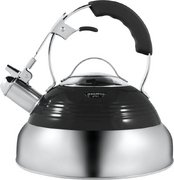 Чайник Maunfeld MRK-119BK фото в Тюмени