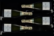 Винный шкаф Dunavox DX-58.258DB фото 3 в Тюмени