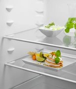 Встраиваемый холодильник Electrolux LNS5LE18S фото 4 в Тюмени