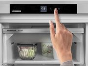 Встраиваемая морозильная камера Liebherr IFNd 3503 фото 4 в Тюмени