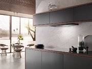 Встраиваемая вытяжка Miele DAS 2920 черный матовый фото 3 в Тюмени