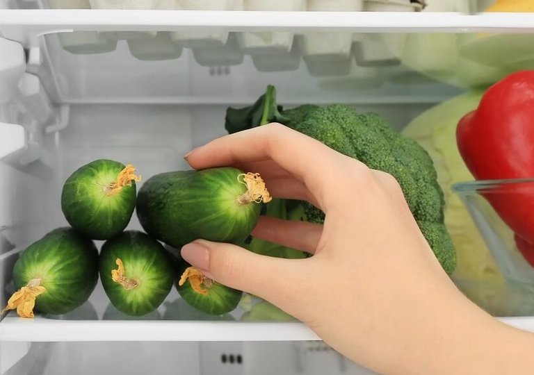 Можно ли, как и сколько хранить огурцы в холодильнике Можно ли, как и сколько хранить огурцы в холодильнике