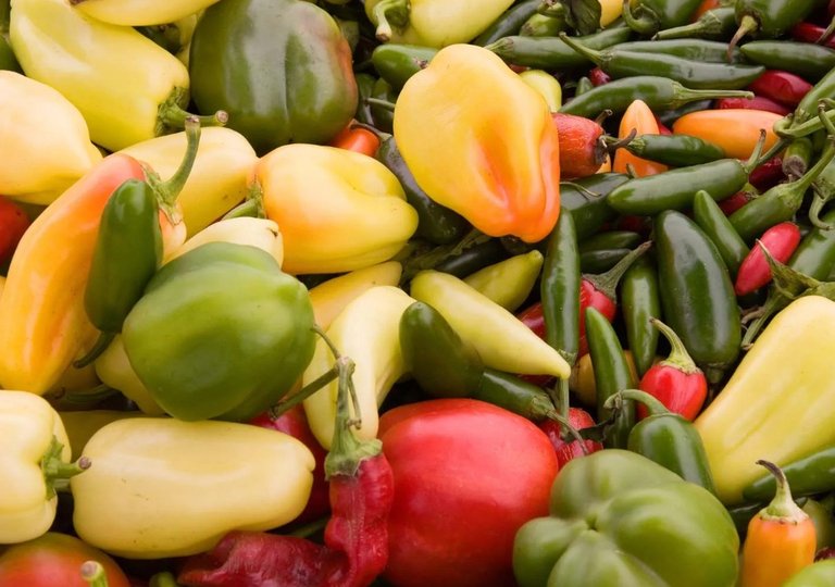 Можно ли, как и сколько хранить болгарский перец в холодильнике Можно ли, как и сколько хранить болгарский перец в холодильнике