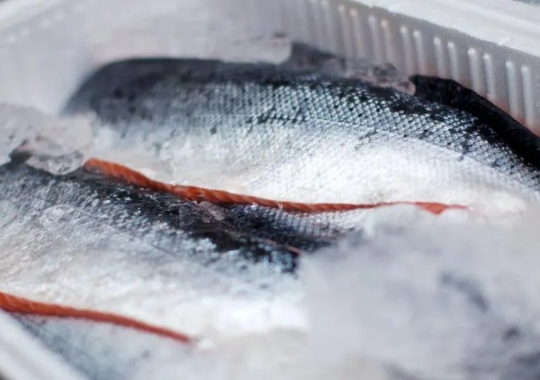 Можно ли, как и сколько хранить рыбу