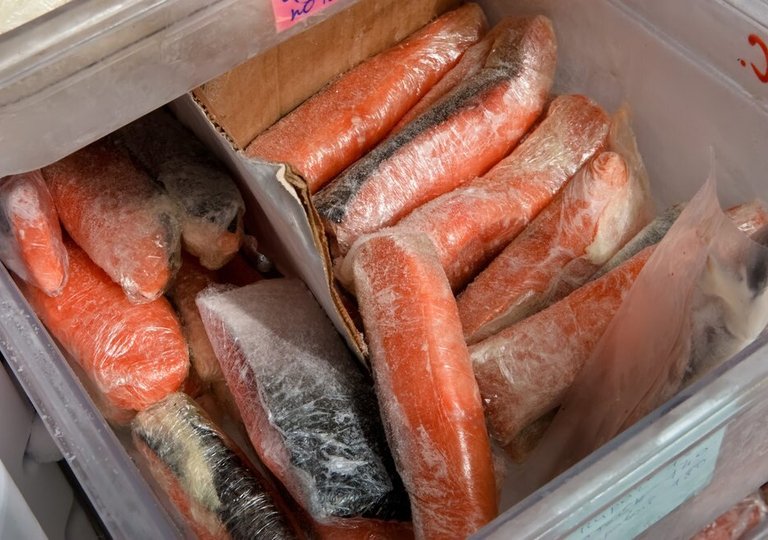 Можно ли, как и сколько хранить красную рыбу в холодильнике?