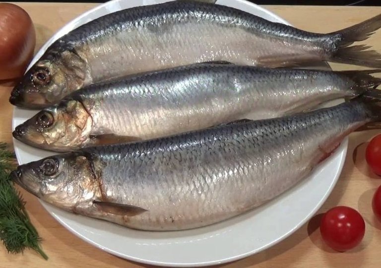 Можно ли, как и сколько хранить селедку в холодильнике