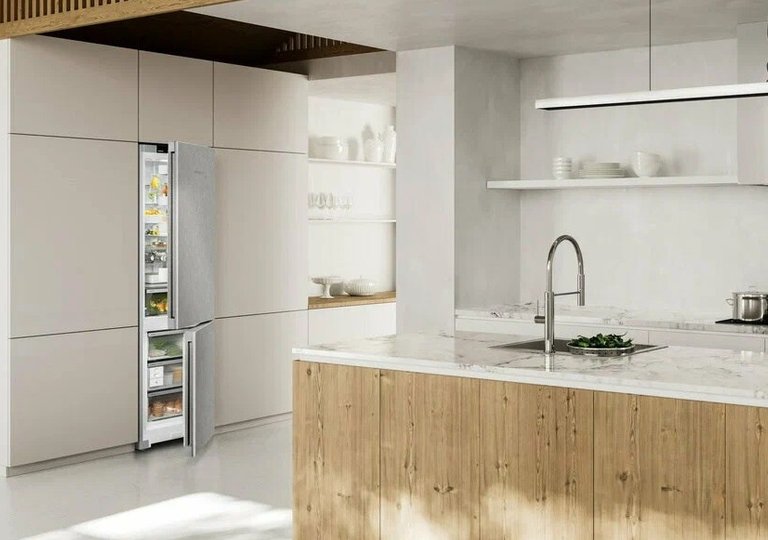 Обзор холодильника Liebherr CNsfd 5723