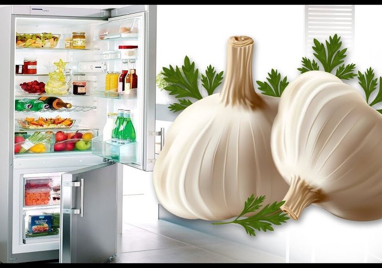 Можно ли, как и сколько хранить чеснок в холодильнике Можно ли, как и сколько хранить чеснок в холодильнике
